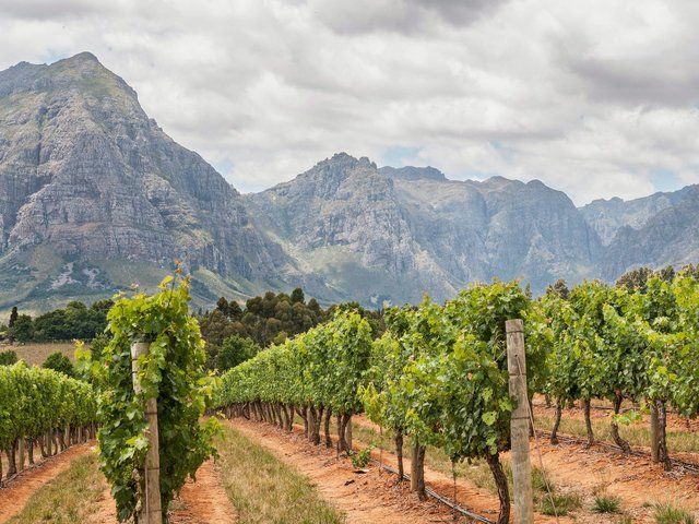 Weinregion Garden Route