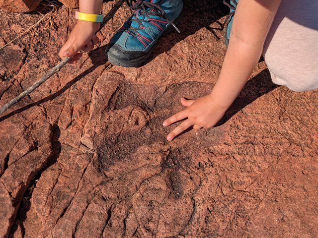 Feedback und Empfehlung Namibia mit Kindern